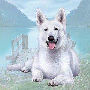White German Shepherd stone coasters